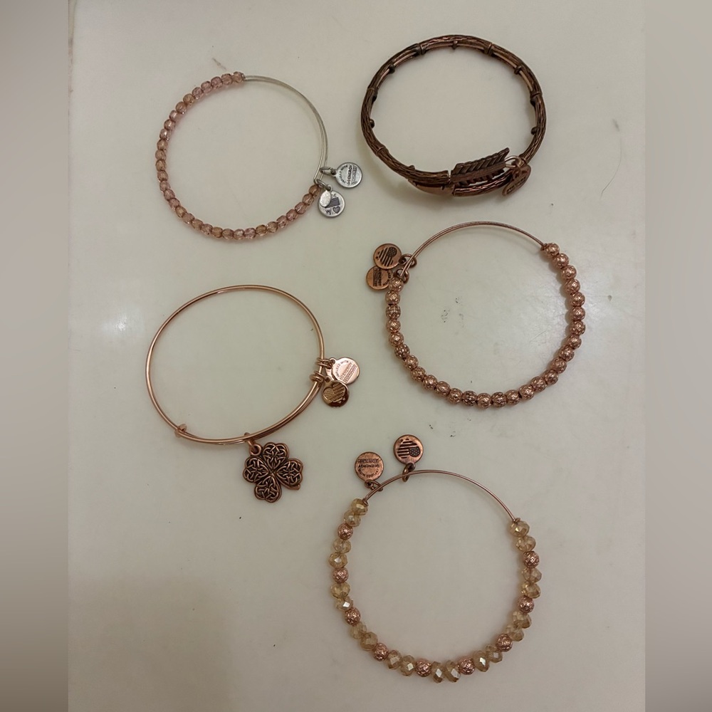 Alex and Ani Rose Gold Charm Bracelet Set